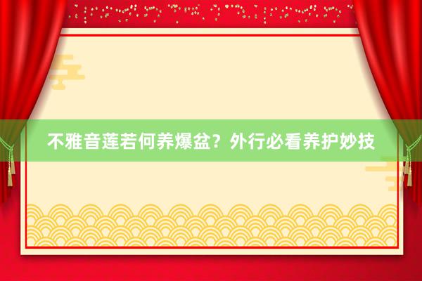 不雅音莲若何养爆盆？外行必看养护妙技