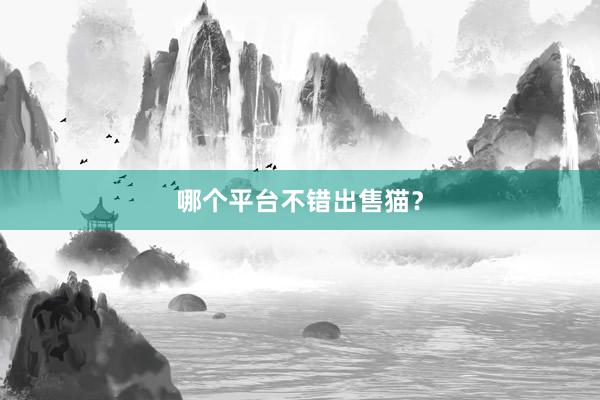 哪个平台不错出售猫？